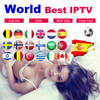 Uk Iptv T-REX Usa US Canada Iptv Trex Premiumpowers Server Xtream Code Sports Channels Iptv Reseller Activation Panel 12 Months Iptv Subscription