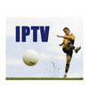 Qhdtv Subtv Neox PRO IPTV Subscription 1year IP TV Code European Arabic Morocco French Channels
