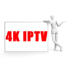 12 Month Best Stable Italian IPTV Reseller Panel Italy IPTV for 4K Smart TV Box Free Test Support Enigma2 Italia IPTV 