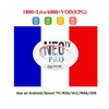 French IPTV Neotv Neox2 IPTV One Year Subscription Abonnement Live VOD France Arabic Neo TV for Smart TV Android