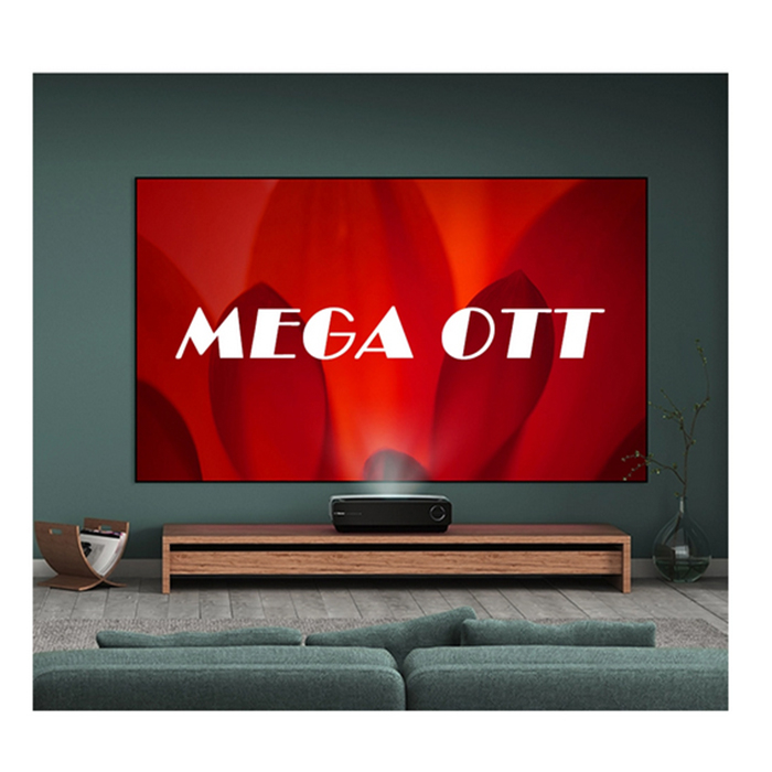 French African IPTV M3u Free 24 Hours Test Android Box Smart TV Adult Africa IPTV Subscription 12 Months Reseller Panel