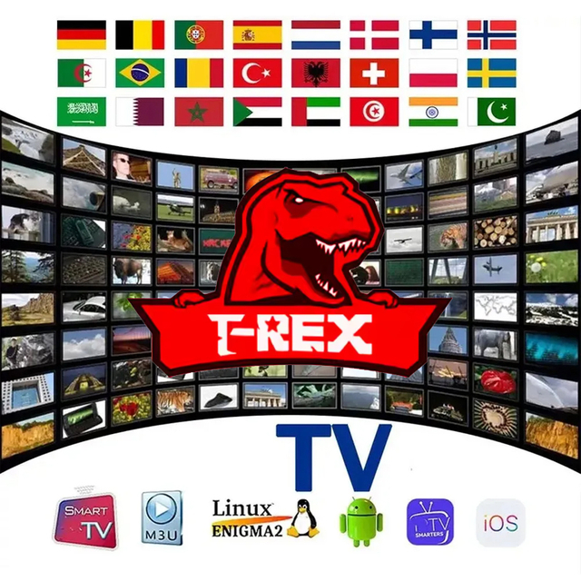 IPTV Reseller Panel IPTV Servers Trex 4K Ott M3u IPTV Subscription Code 12 Months 