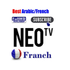 Arabic France Smart IPTV Neox2 Subscription 1year Neotv PRO Live VOD for Android Spain Portugal Europe IP TV Code Account
