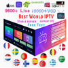 Lion Ott IPTV Stable Servers Reseller Panel Europe English UK USA Belgium Dutch Spain Germany Canada M3u Subscription for Android TV